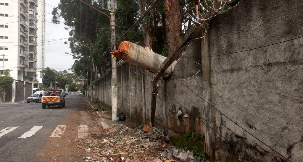Tronco de árvore que caiu na Rua Domingos da Fonseca. Foto Créd.: Marcel Naves/ Tirada com moto z play + hasselblad true zoom,