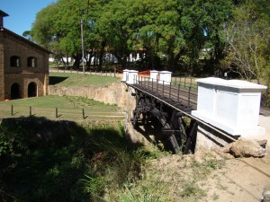 A ponte restaurada - Foto Acervo Flona de Ipanema